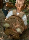 Kinder Hop Caramel Teddy In Clouds Travel Bear Children's Backpack