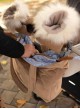 Kinder Hop Caramel Teddy in Clouds Shopper Bag
