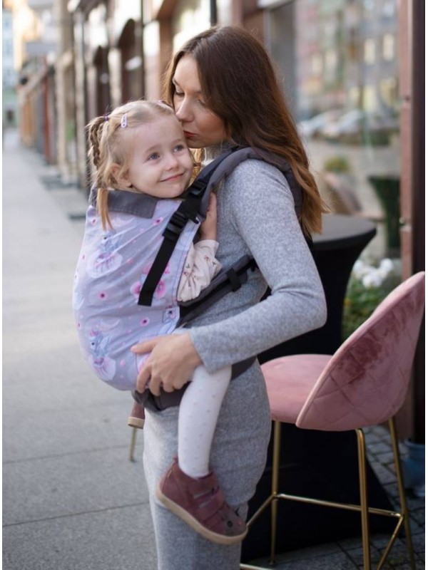 Ergonomic Baby Carrier Toddler Preschool: Fairyland