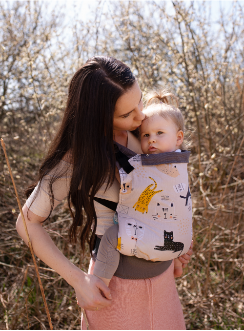 Ergonomic Baby Carrier Standard: Cats