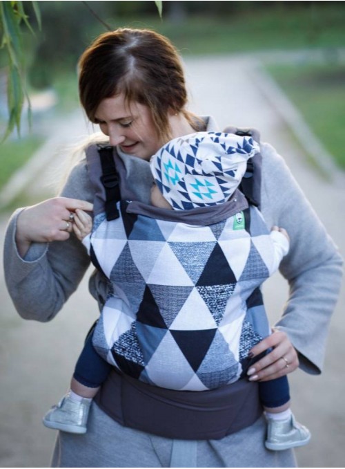 Ergonomic Baby Carrier Standard: Triangles
