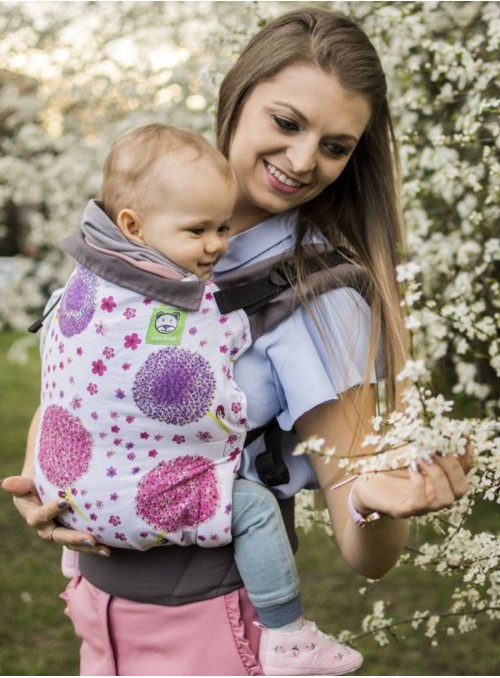 Ergonomic Baby Carrier Standard: Dandelions